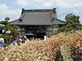 花のお寺で知られる常泉寺(高座渋谷～湘南台)