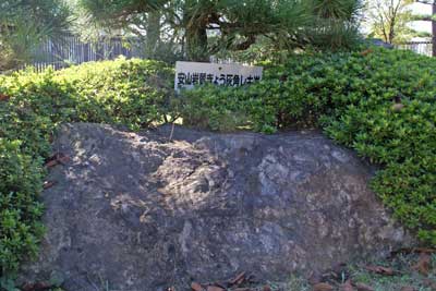 安山岩質ぎょう灰角レキ岩