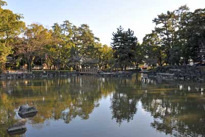 太閤池