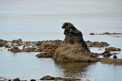 赤神海岸のゴジラ岩