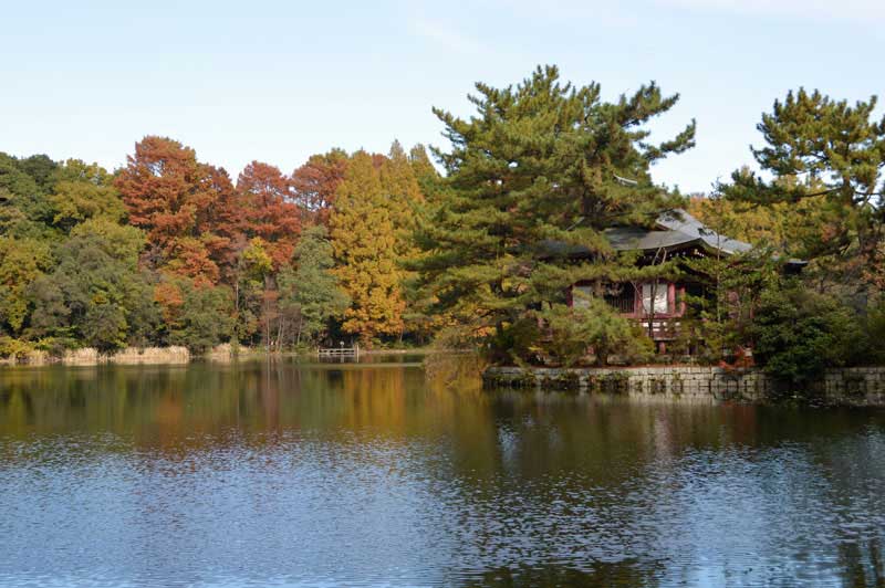 三宝寺池と厳島神社