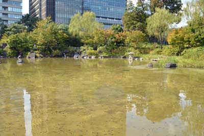 檜町公園内の池