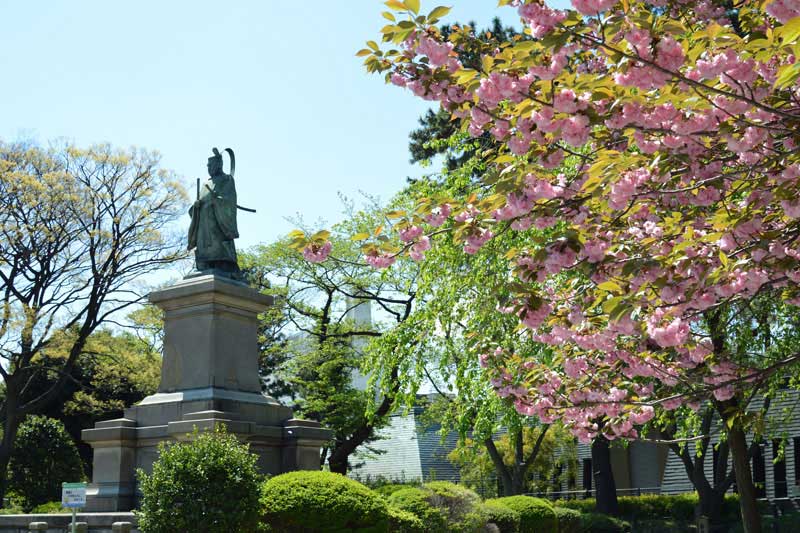 八重桜と井伊直弼銅像