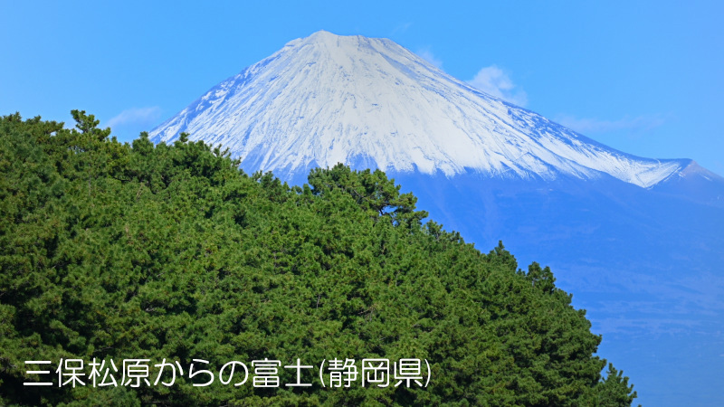 三保松原からの富士