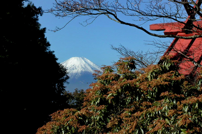大山山頂からの富士山