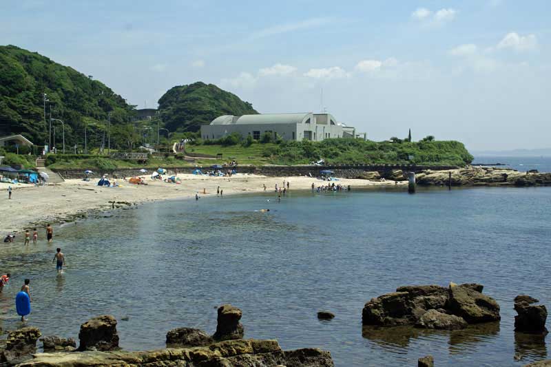 たたら浜と観音崎自然博物館