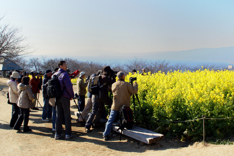 吾妻山公園(2009.1)