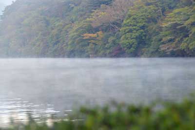 芦ノ湖の朝靄