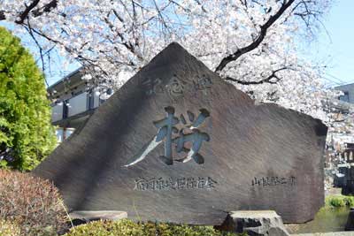 記念碑「桜」