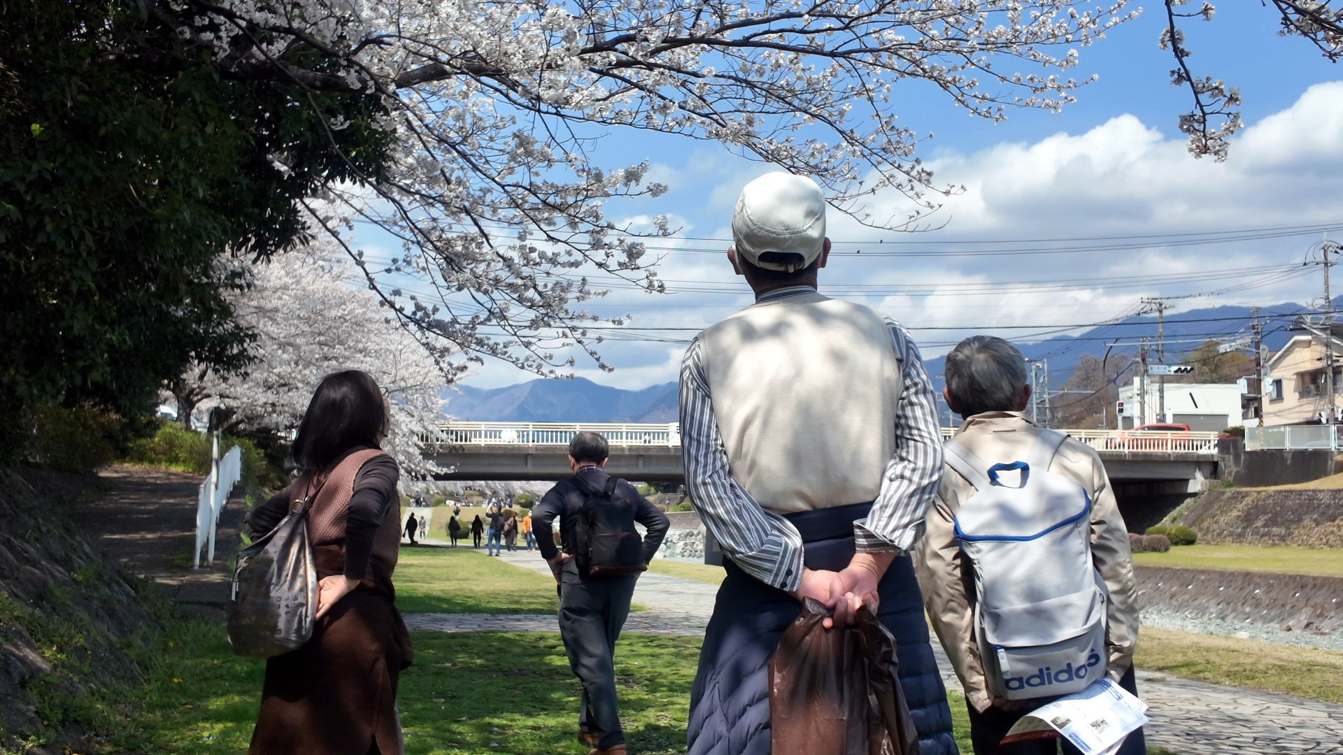 2025年 桜まつり