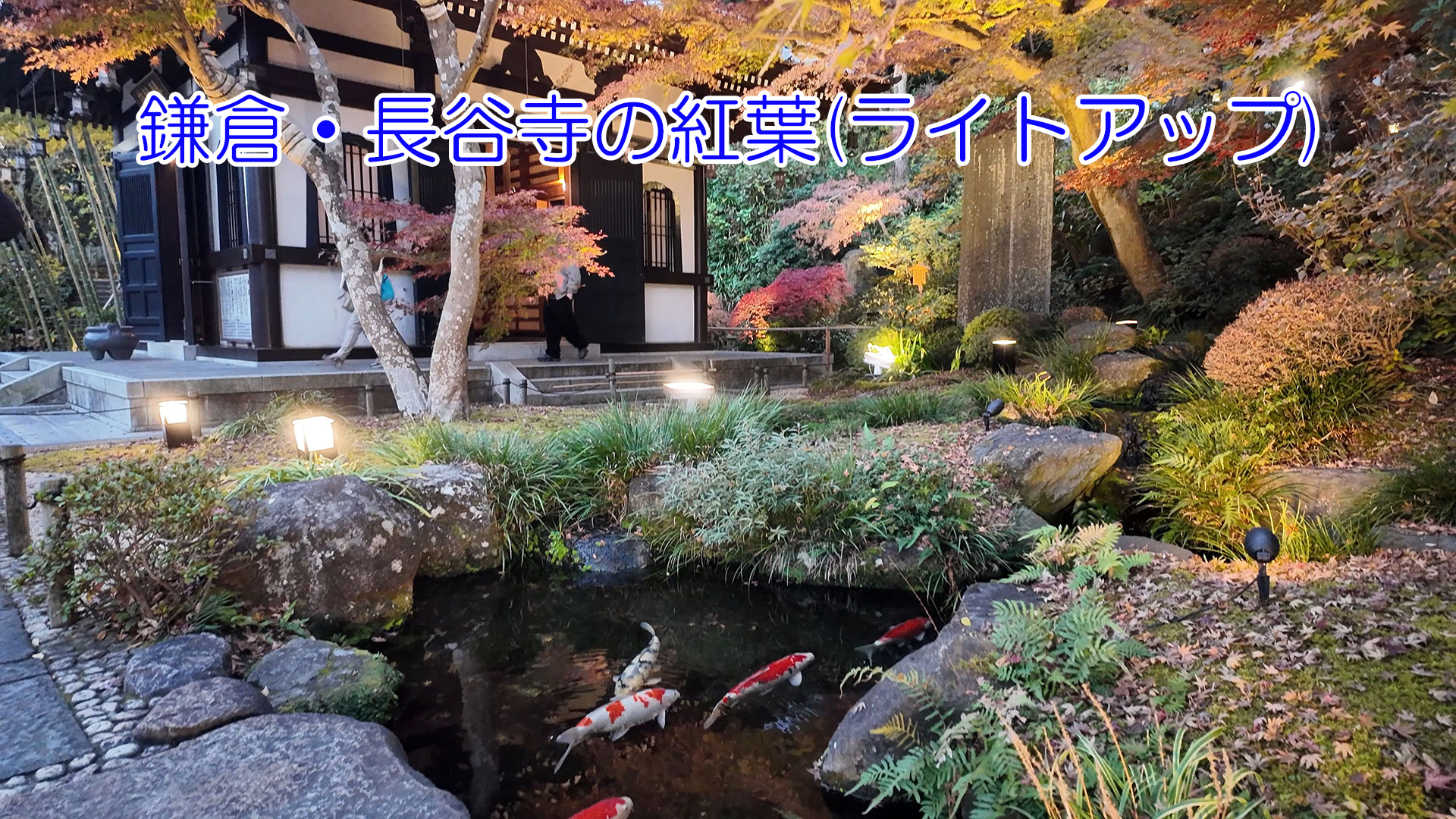 週末ウォーキング