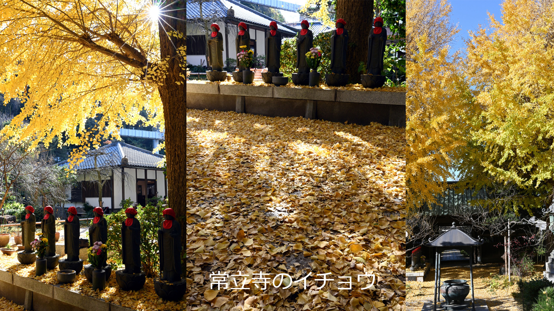 週末ウォーキング