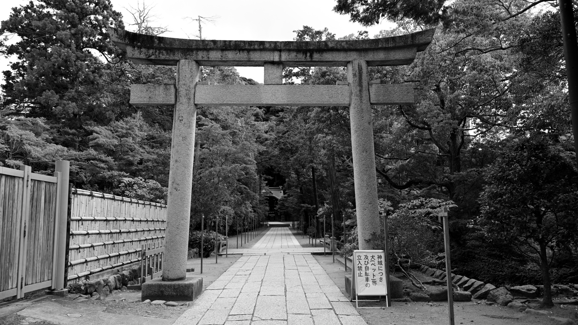白旗神社のモノクロ写真