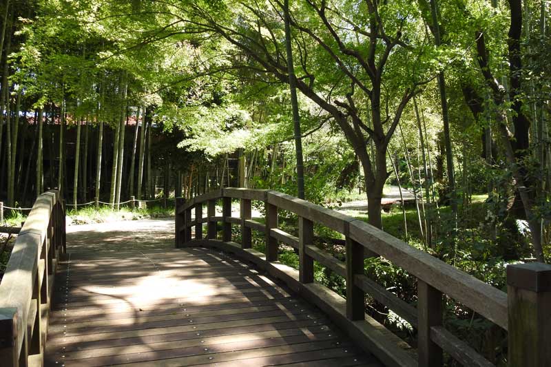 「池・庭園ゾーン」の小橋
