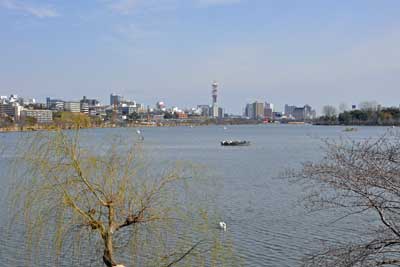 千波湖