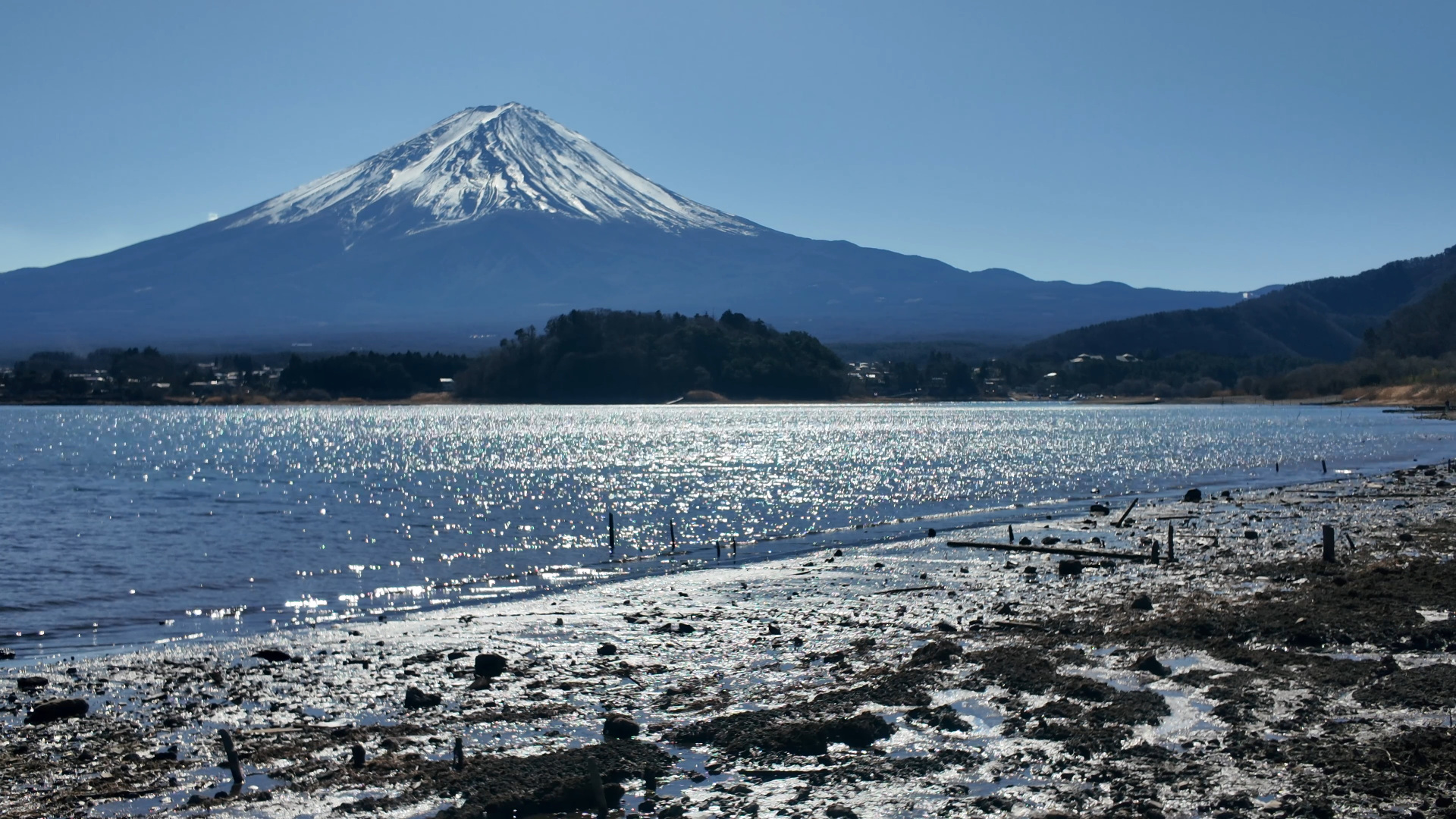 大石公園から眺めた富士山