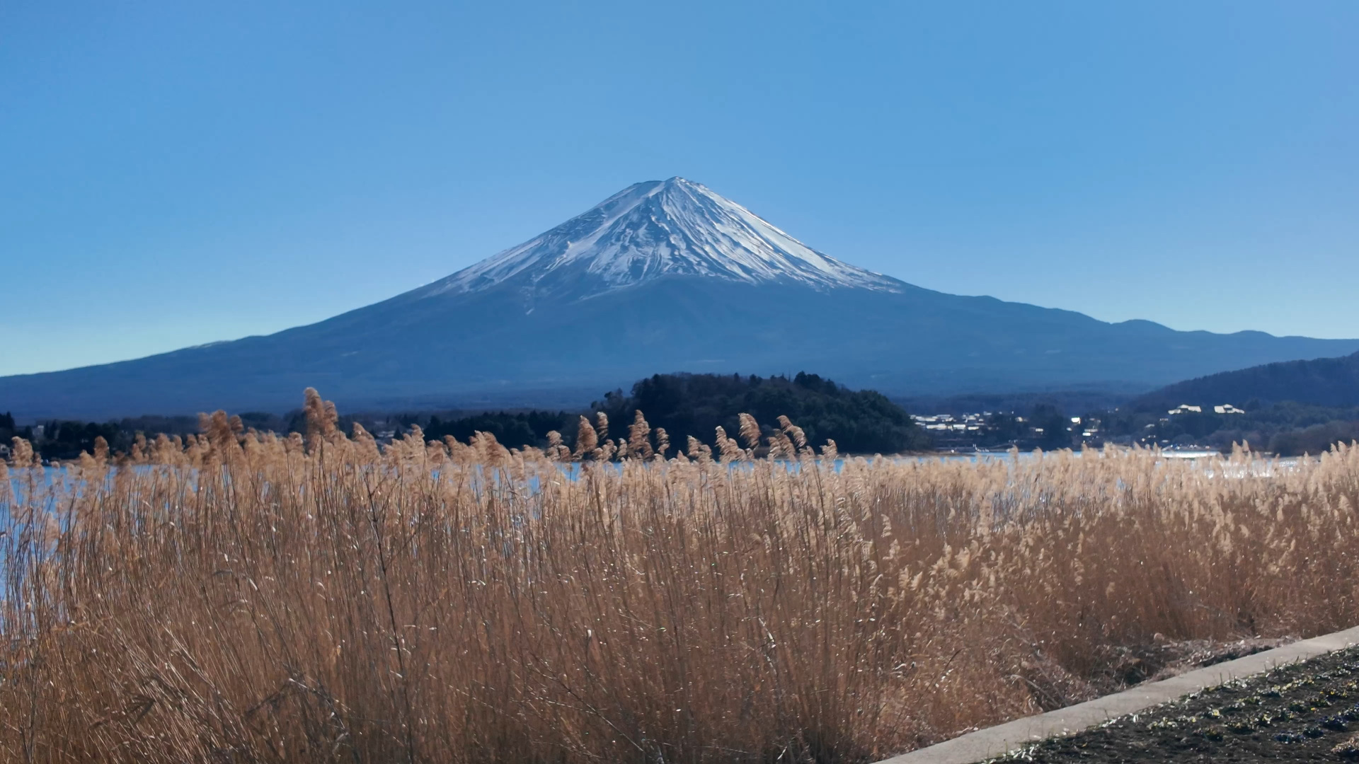 大石公園から眺めた富士山