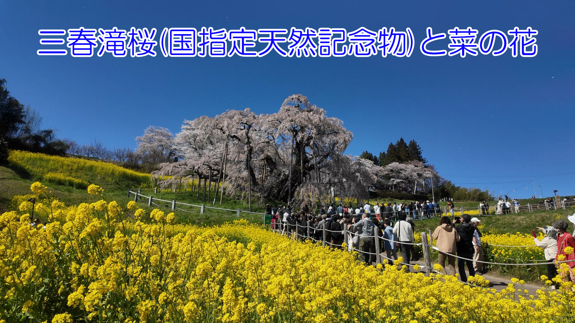 週末ウォーキング