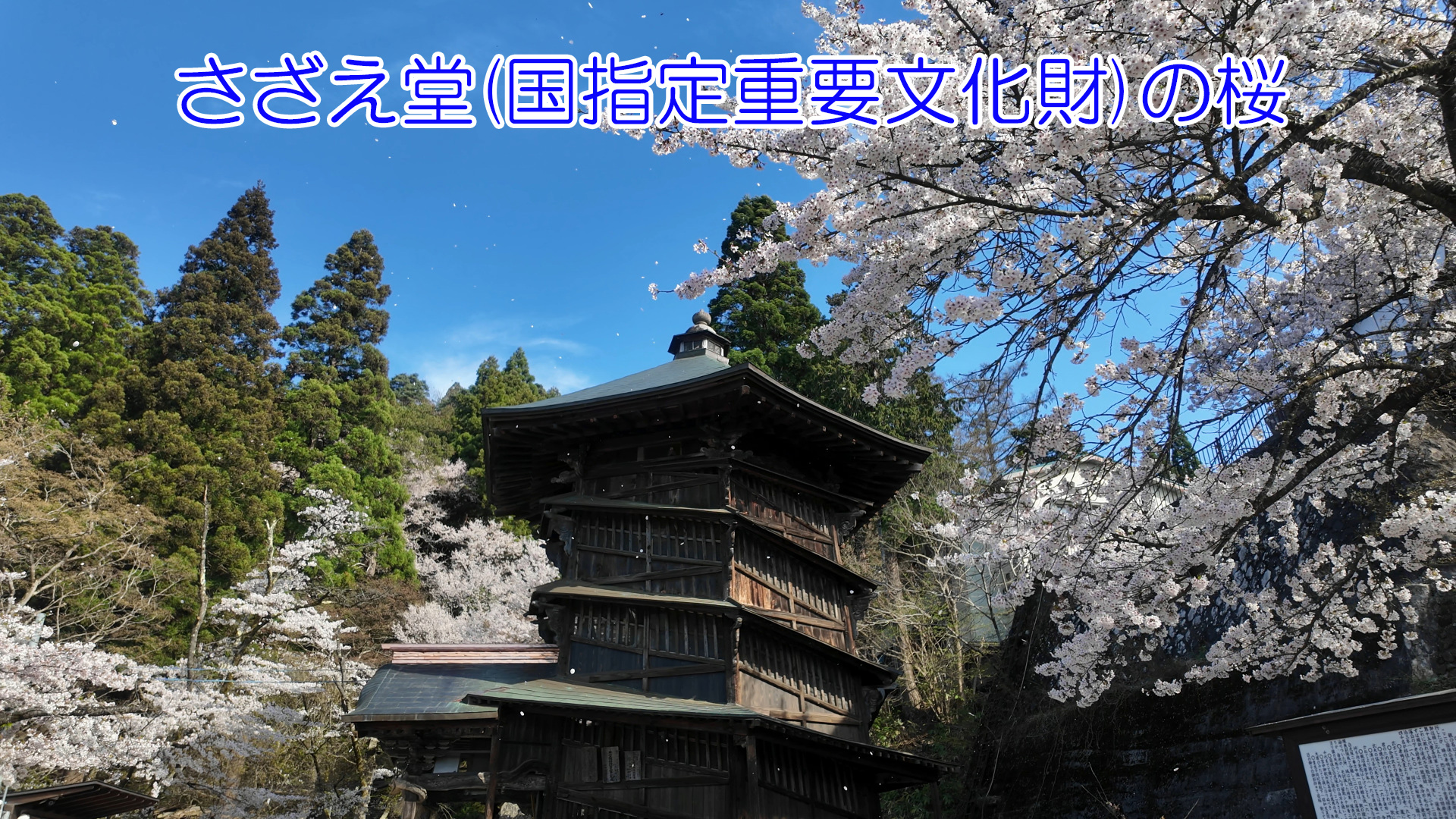 週末ウォーキング