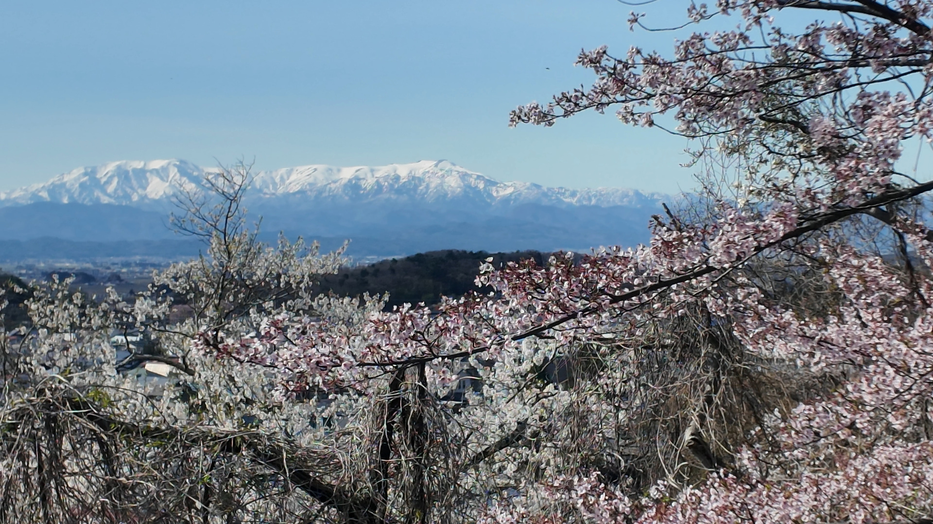 遠くに飯豊連峰