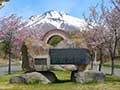 桜林公園・世界一の桜並木・岩木山神社