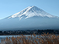 河口湖河畔からの富士山撮影ポイント(河口湖)