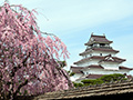 会津若松 鶴ヶ城(桜まつり)