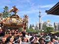 浅草神社 三社祭(町内神輿連合渡御)