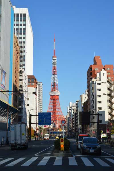 桜田通りと東京タワー