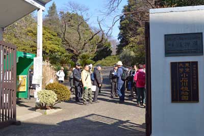小石川植物園周辺散歩 白山 茗荷谷 東京23区ウォーキング 週末ウォーキング