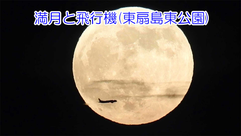 満月と飛行機(東扇島東公園)