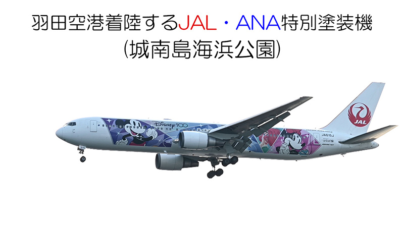 羽田空港着陸するJAL・ANA特別塗装機(城南島海浜公園)