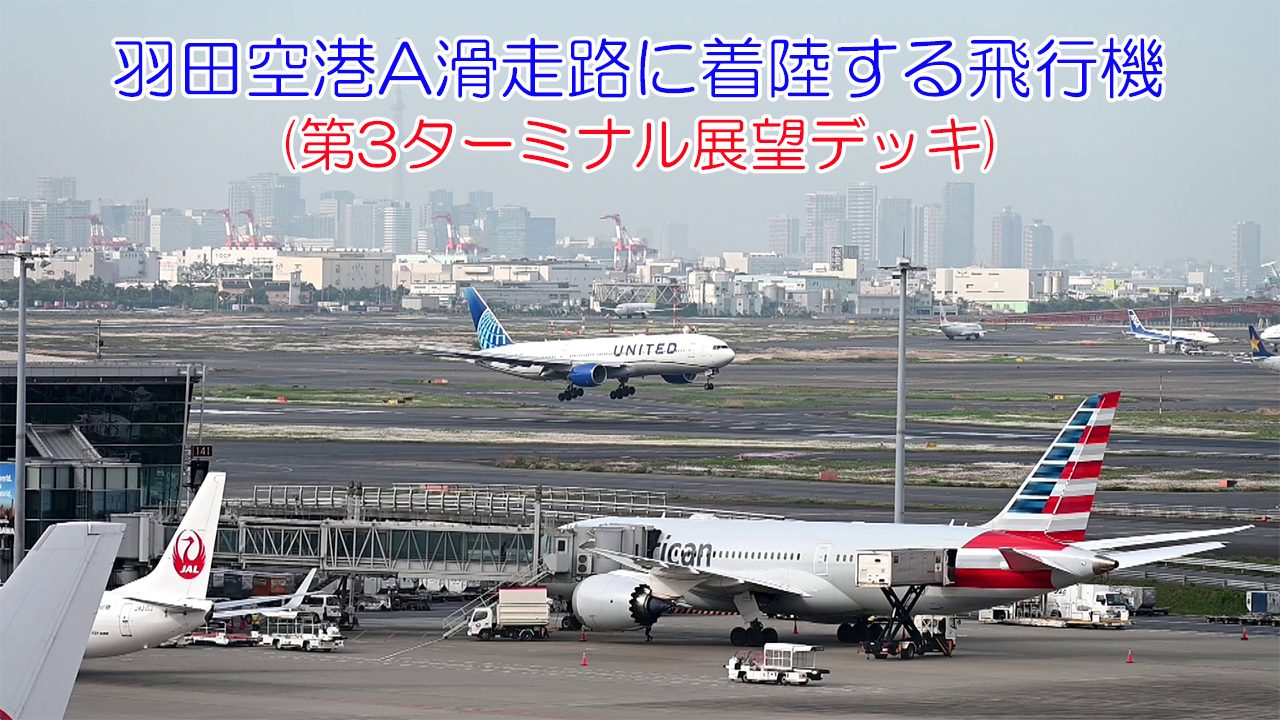 羽田空港A滑走路に着陸する飛行機(第3ターミナル展望デッキ)