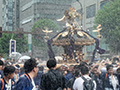 富岡八幡宮例大祭2026(神輿連合渡御)