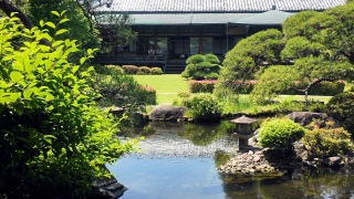 柴又帝釈天・矢切の渡し散歩(柴又)