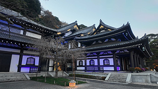 鎌倉・長谷寺の紅葉(ライトアップ)