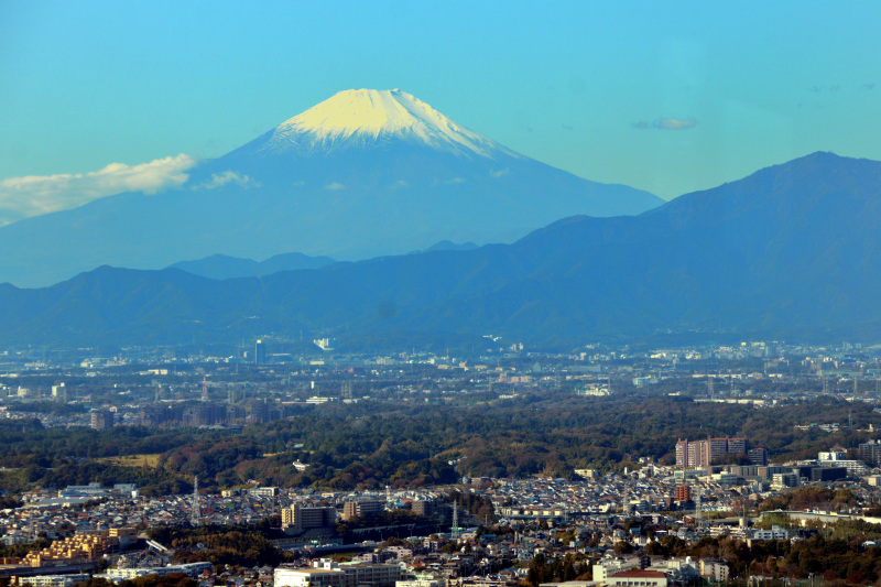 (真白き富士山が美しい