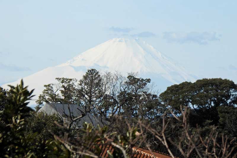 外国人墓地からの富士山