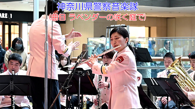 神奈川県警察音楽隊(曲目 ラベンダーの咲く庭で)