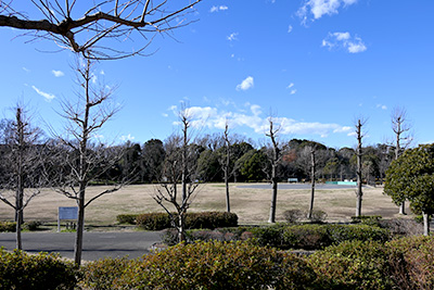 久良岐公園
