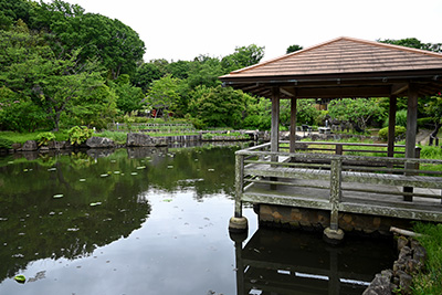 和風庭園(あずまやと池)